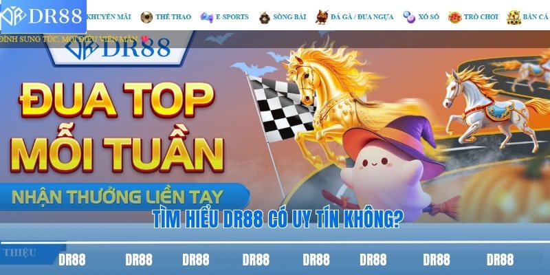 Dr88 Có Uy Tín Không Và Câu Trả Lời Chính Xác Nhất 1 Tìm hiểu DR88 có uy tín không?