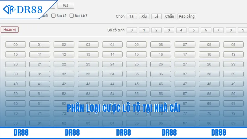 Dr88 Lô Tô Trúng Thưởng – Cơ Hội Đổi Vận Cực Hấp Dẫn 2 Phân loại cược lô tô tại nhà cái